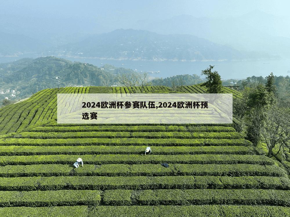 2024欧洲杯参赛队伍,2024欧洲杯预选赛