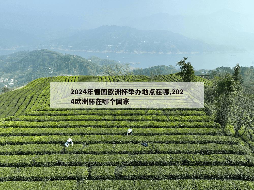 2024年德国欧洲杯举办地点在哪,2024欧洲杯在哪个国家