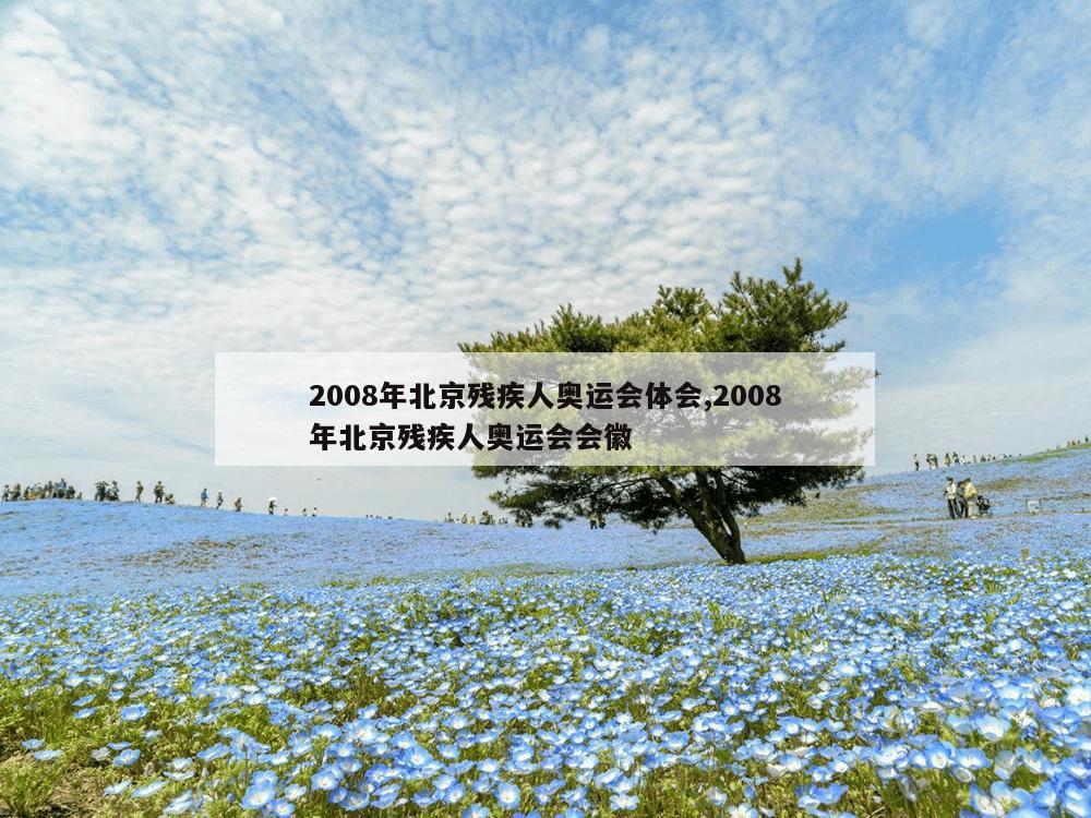 2008年北京残疾人奥运会体会,2008年北京残疾人奥运会会徽