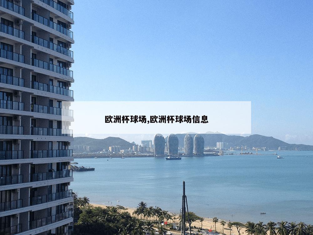 欧洲杯球场,欧洲杯球场信息