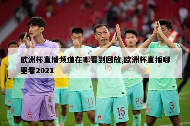 欧洲杯直播频道在哪看到回放,欧洲杯直播哪里看2021