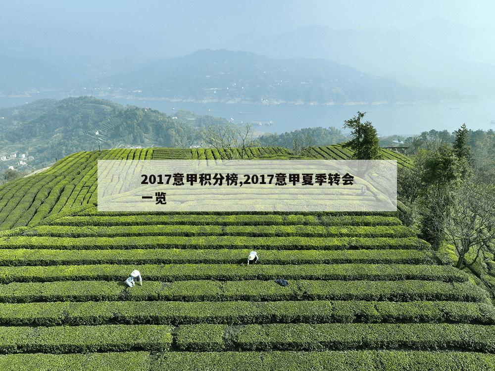 2017意甲积分榜,2017意甲夏季转会一览